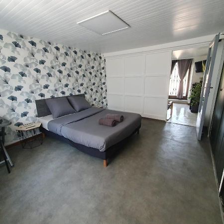Nancyroom Vandoeuvre-lès-Nancy Εξωτερικό φωτογραφία