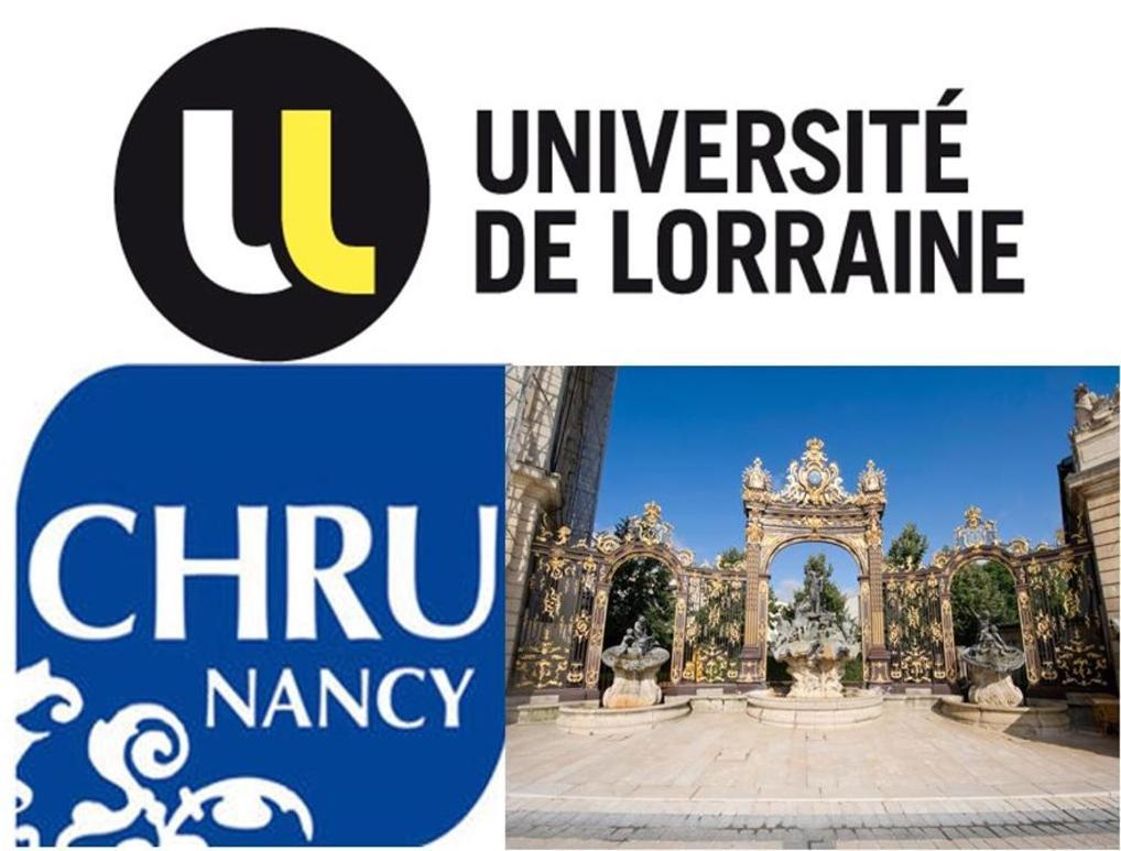 Nancyroom Vandoeuvre-lès-Nancy Εξωτερικό φωτογραφία